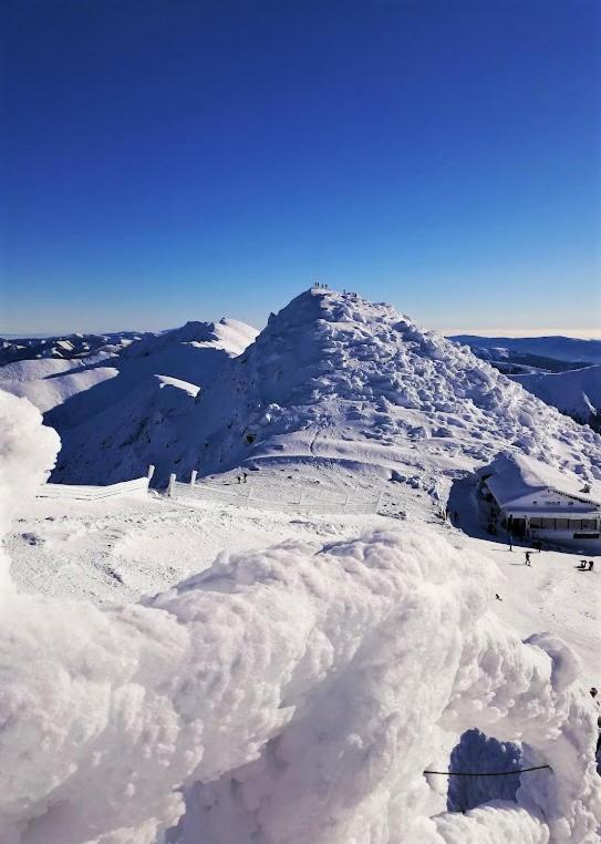 Chata Demian Demanovská Dolina Exteriér fotografie