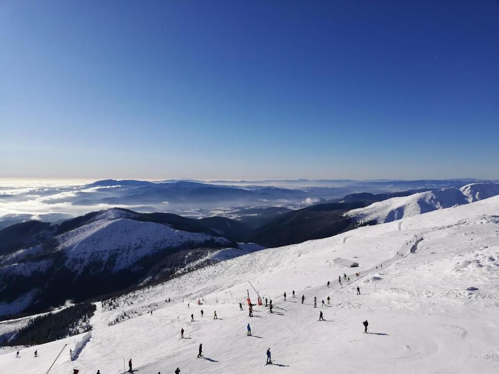 Chata Demian Demanovská Dolina Exteriér fotografie
